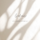 【チラシをポスティングします】